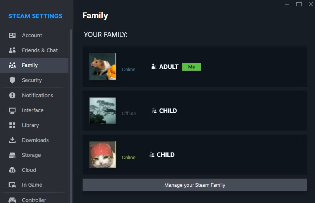 Steam aile paylaşımı erişim ayarları