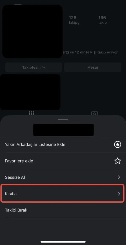 instagram kısıtlama